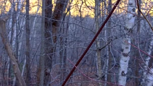 Abandoned New England Granite Quarry Steel Rope — Stock Video