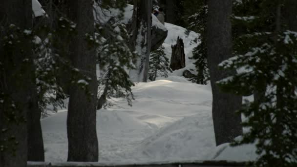 冬はドナー峠の雪に覆われた斜面の丘で人が眠っています — ストック動画