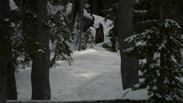 Joven Camina Hasta Cima Una Colina Nevada Llevando Trineo Está — Vídeos de Stock