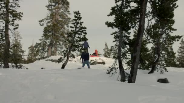 Liten Flicka Använder Släde För Att Glida Den Snöiga Kullen — Stockvideo