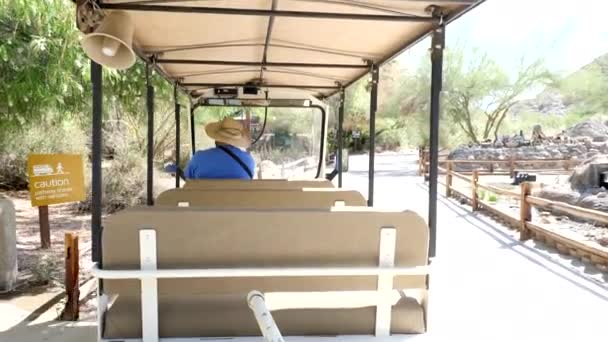 Passeggiata Tram Uno Zoo Locale — Video Stock