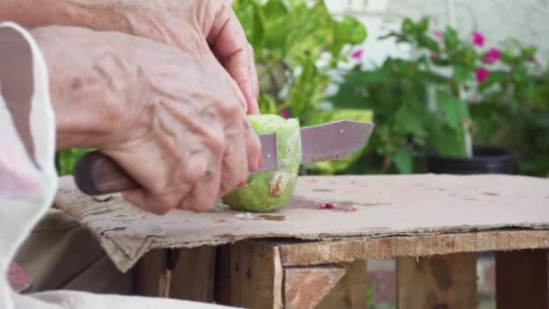 Oudere Vrouw Worstelt Met Het Snijden Van Een Groene Stekelige — Stockvideo