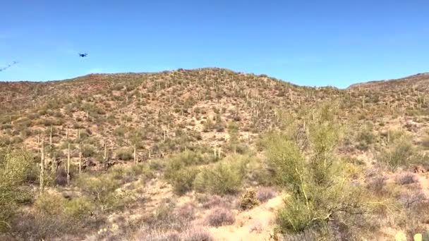Drone Volver Piloto Preparación Para Aterrizaje Desierto Sonora — Vídeo de stock