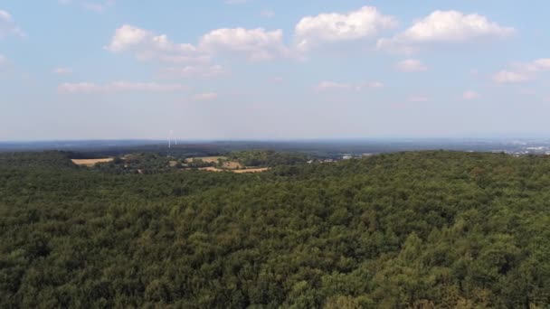 Съемка Воздуха Леса Демонстрирующего Ветряные Турбины — стоковое видео
