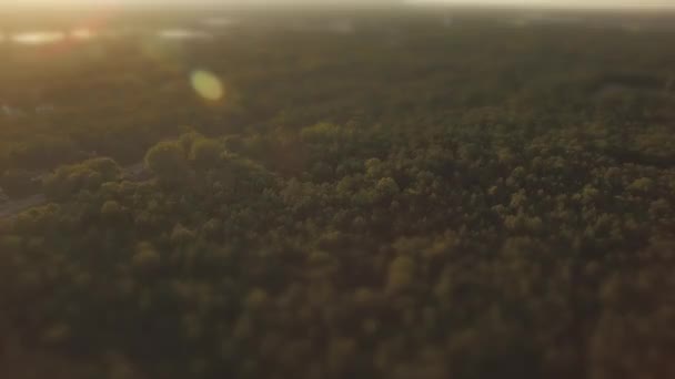 Lot Zachodzie Słońca Nad Drzewami Efektem Pochylenia Huśtawka Pochyła Antena — Wideo stockowe