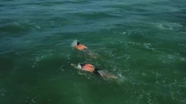 Nuoto Nell Oceano Vista Laterale Primo Piano Giorno Soleggiato — Video Stock