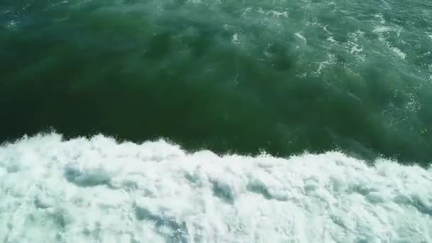 Plavci Omývá Waves Birdseye Letecké Zobrazení Slunečný Den — Stock video