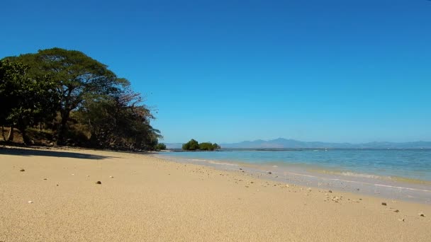 Хороший Чистый Пляж Желтым Песком Фиджи Несколькими Деревьями Заднем Плане — стоковое видео