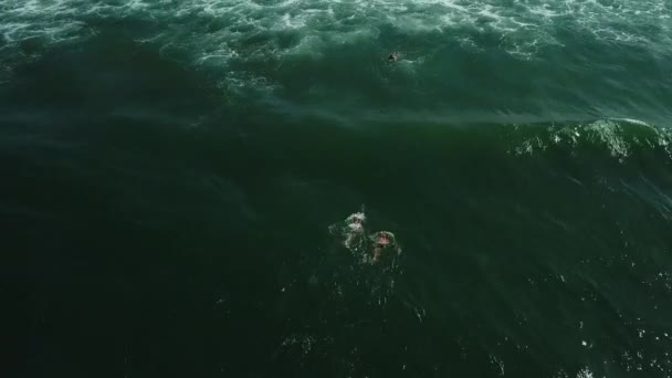 Nageurs Surfeurs Ocean Birdseye Vue Aérienne Par Jour Ensoleillé — Video