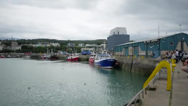 Höger Till Vänster Foto Howth Harbor Dublin Irland Mulen Augustidag — Stockvideo