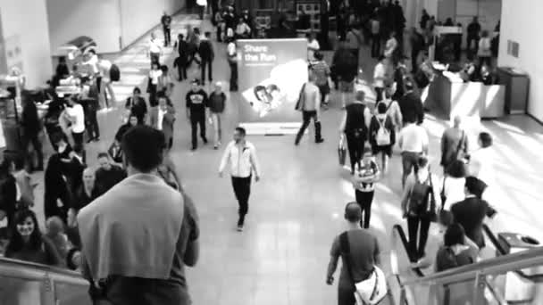 Lugar Conferencia Ocupado Gente Subiendo Bajando Las Escaleras Feria Photokina — Vídeo de stock