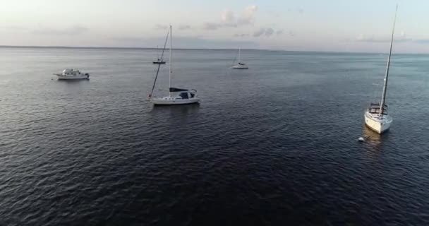 Drone Filmación Barcos Vuelan Sobre Puerto Clave Océano Enfoque — Vídeos de Stock