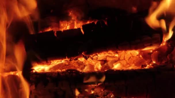 Burning Firewood Coal Κοντινό Πλάνο Στο Τζάκι Τζάκι Ember Wood — Αρχείο Βίντεο