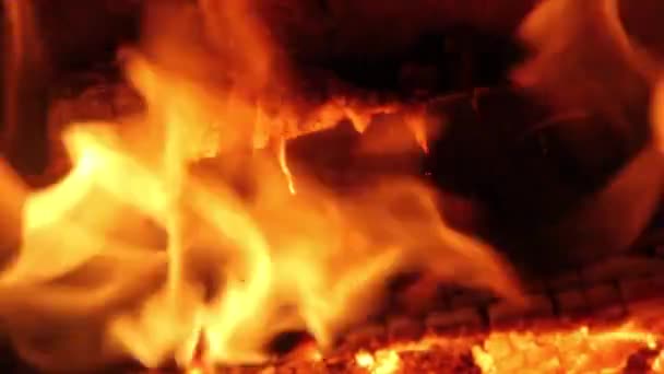 Burning Firewood Coal Κοντινό Πλάνο Στο Τζάκι Τζάκι Ember Wood — Αρχείο Βίντεο