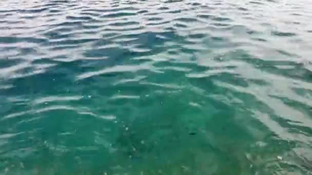 Meerwasser Mit Einigen Kleinen Fischen Darin — Stockvideo