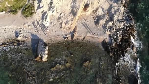 Drohne Strand Von Mykonos — Stockvideo