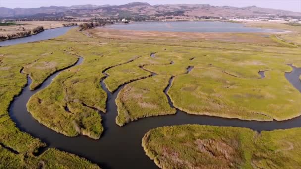 Una Hermosa Vista Areal Algunos Bajíos Del Río Napa — Vídeo de stock