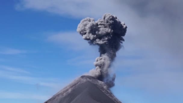 Vulcan Fuego Eruption Guatemala — Stock Video