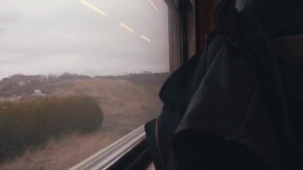 Cavalcare Treno Una Piovosa Giornata Autunnale Guardando Fuori Dalla Finestra — Video Stock