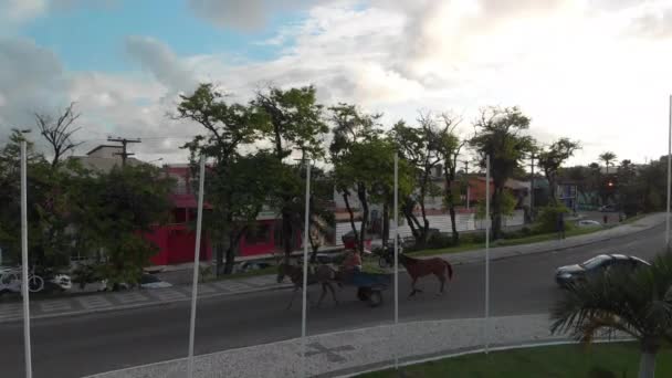Voo Aéreo Cinematográfico Mostrando Carrinho Puxado Cavalo Correndo Lado Carros — Vídeo de Stock