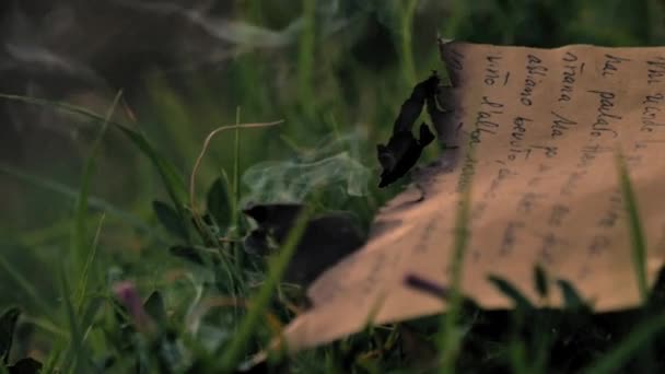 Çimenlikteki Yakılmış Mektuptan Güzel Duman Örnekleri Nci — Stok video