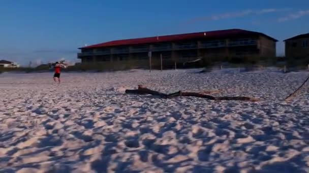 Drohnen Kreisen Treibholz Strand Jede Aufnahme Wurde Auf Einer Zeitachse — Stockvideo