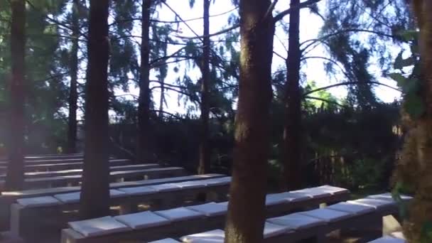Повільна Сковорідка Весільного Проходу Посеред Ліса Пополудні Коли Сонце Бавиться — стокове відео