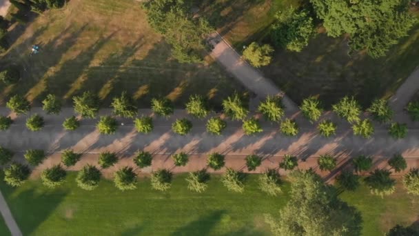 Drone Vista Birdseye Desde Parque Helsinki Finlandia — Vídeo de stock