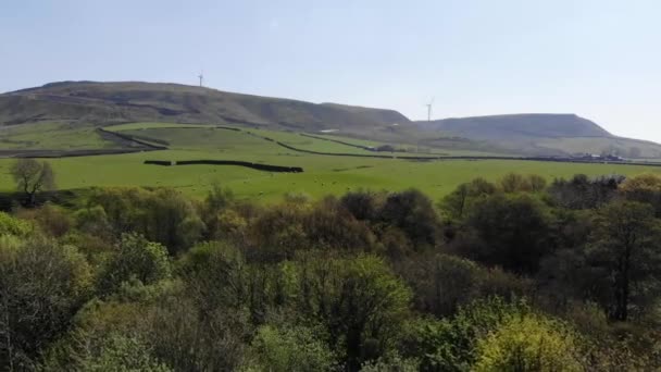 Drone Disparó Volando Sobre Los Árboles Con Wind Farm Distancia — Vídeo de stock