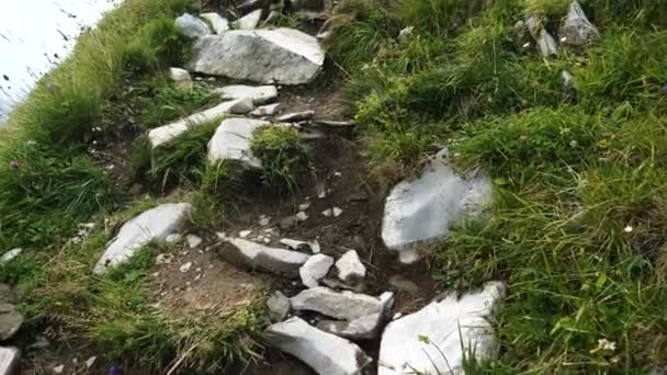 スイスアルプスの歩道標識のある急峻で危険なハイキング道 — ストック動画