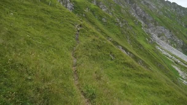 Sviçre Alp Dağları Ndaki Bir Çayırda Dik Dağ Yürüyüşü Yolu — Stok video