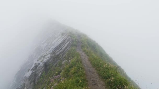 Çok Kötü Havalarda Dağ Yürüyüşü Sviçre Alpleri Nde Tehlikeli Dağ — Stok video