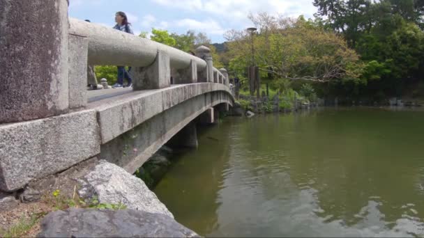 Άποψη Ενός Παλιού Πέτρινου Γεφυριού Ιαπωνικό Κήπο — Αρχείο Βίντεο