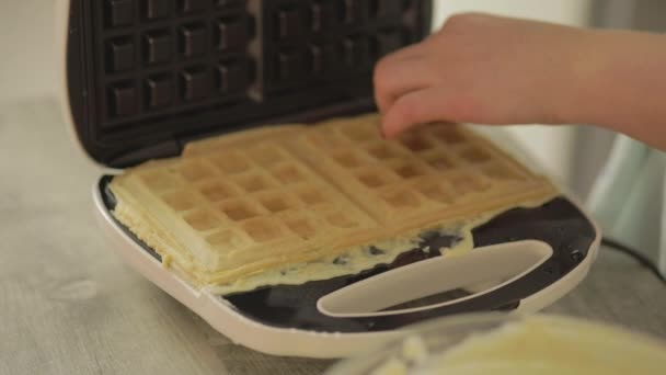 Wafel Testen Wafelijzer — Stockvideo