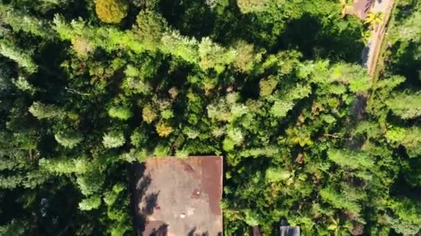 Letecký Pohled Shora Dolů Kavárenské Sídlo Natočené Dronem Kutta Karnataka — Stock video