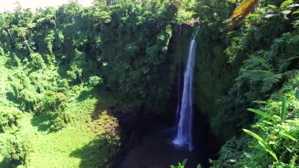 萨摩亚Fuipisia的观点 在悬崖上拍摄 瀑布底部有一个小湖 瀑布周围有大量的植被 — 图库视频影像