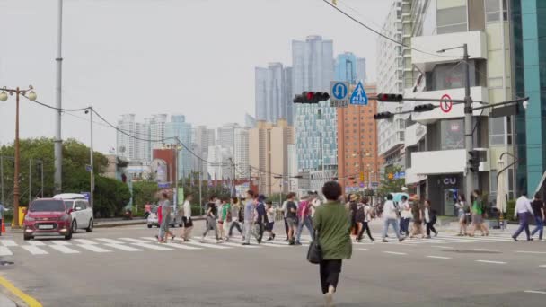 Multitud Empresarios Busan City Caminan Por Calle Principal — Vídeo de stock