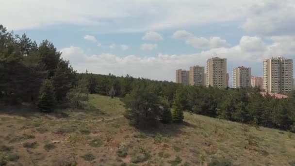 Drone Vliegen Park Vol Met Groene Bomen Naast Een Woonwijk — Stockvideo