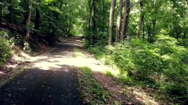 Tiro Para Frente Uma Passarela Subida Floresta — Vídeo de Stock