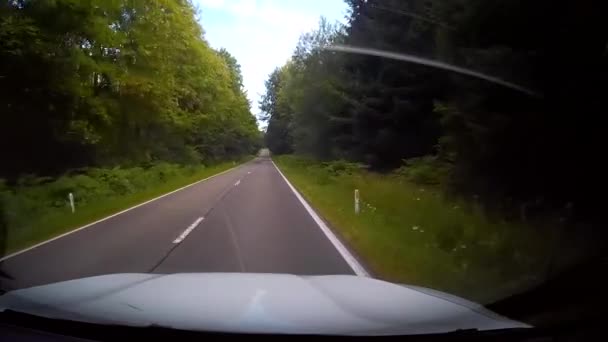 Dashcam Οδήγηση Στο Δρόμο Μεταξύ Των Δασών — Αρχείο Βίντεο