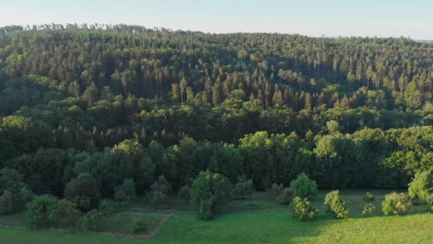 Aerial View Agricultural Land Germany Summer — Stock Video