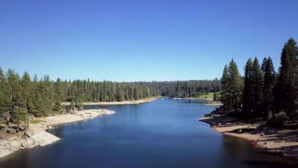 Coup Drone Hélicoptère Lac Dans Une Forêt — Video