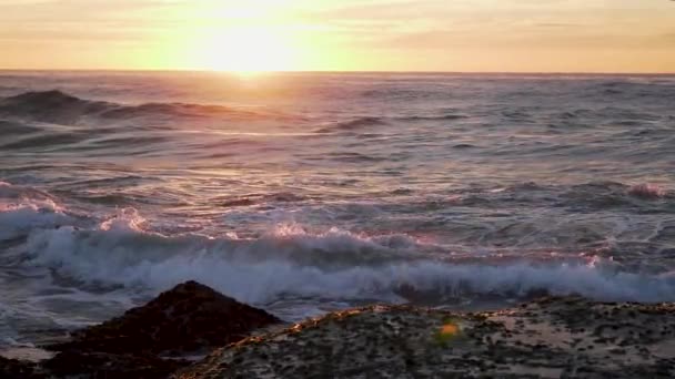 Wczesnym Rankiem Sydney Australia Plaża Wschód Słońca Plaża Otacza Surferzy — Wideo stockowe