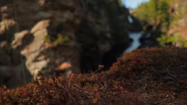Klipet Vízesés Rondane Nemzeti Park Norvégia Forgatott 50Fps 25Fps Idővonal — Stock videók