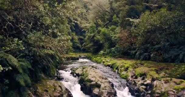 Enthüllung Eines Versteckten Farbenfrohen Wasserfalls Neuseeland — Stockvideo