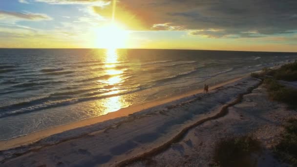 Όμορφο Νεαρό Ζευγάρι Περπατά Μια Παραλία Κατά Διάρκεια Του Ηλιοβασιλέματος — Αρχείο Βίντεο