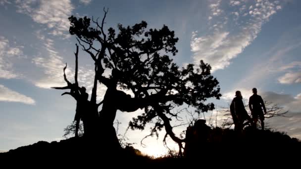 Camper Beobachten Einen Sonnenaufgang Berg — Stockvideo