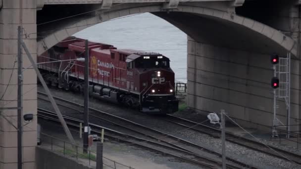 Trem Canadense Carga Pacífico Passa Longo Rio Mississippi Paul — Vídeo de Stock