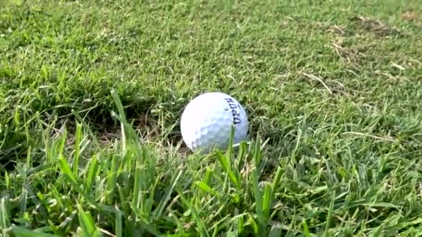 Close Nike Mojo Golf Ball Fairway Zoom Out — Stock Video