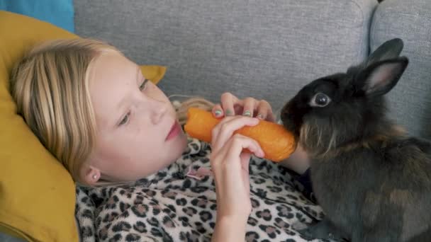 Девушка Лежит Карете Деля Морковку Своим Кроликом — стоковое видео